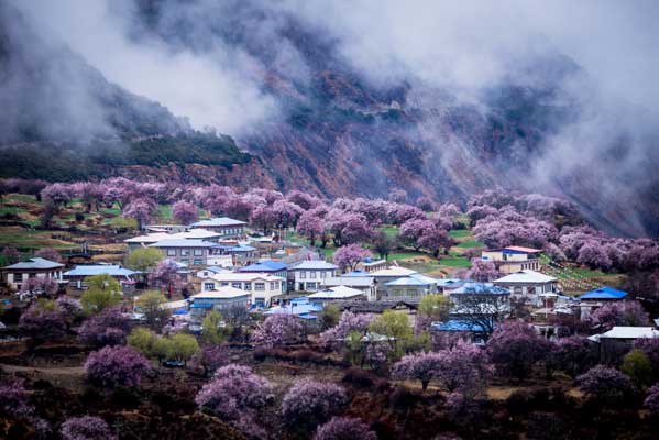 西南旅游