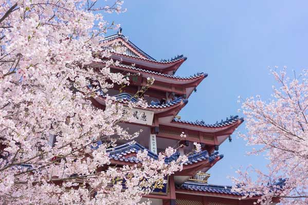 上海旅游