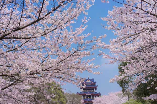 上海旅游