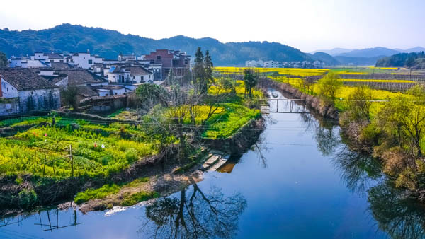 國內旅游
