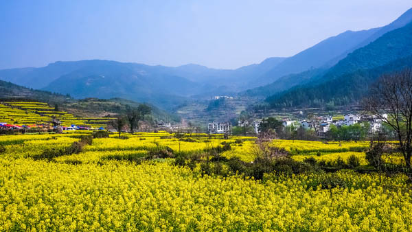 國內旅游