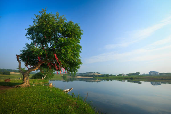 國內旅游