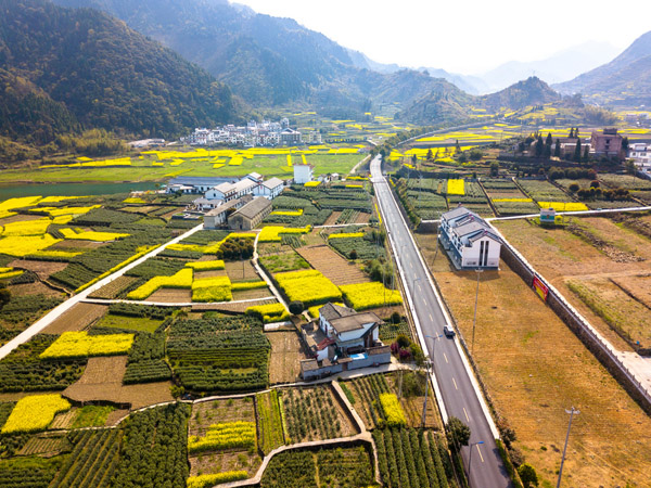 國內旅游