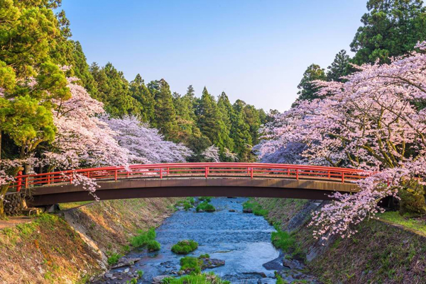 日本旅游