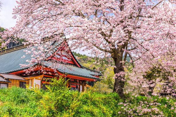 日本旅游