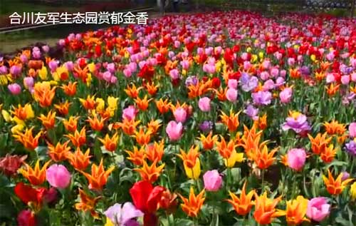 重慶周邊旅游