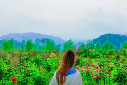 綦江旅游