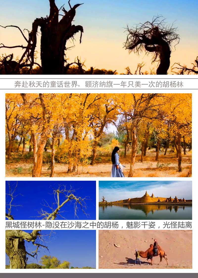 西北旅游