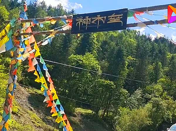四川旅游