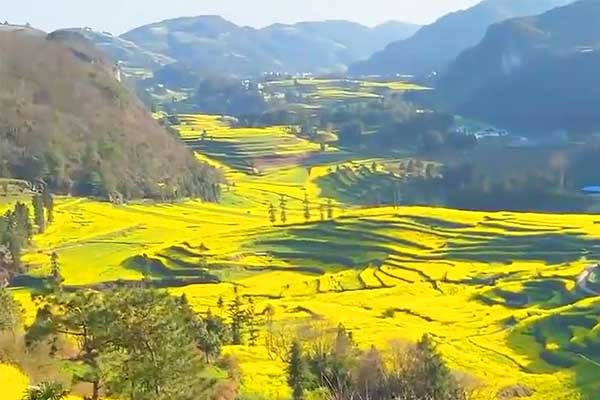 武隆旅游
